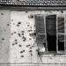 Bullet holes in a façade, Cyprus, 1974 © Jean Mohr, Musée de l’Elysée